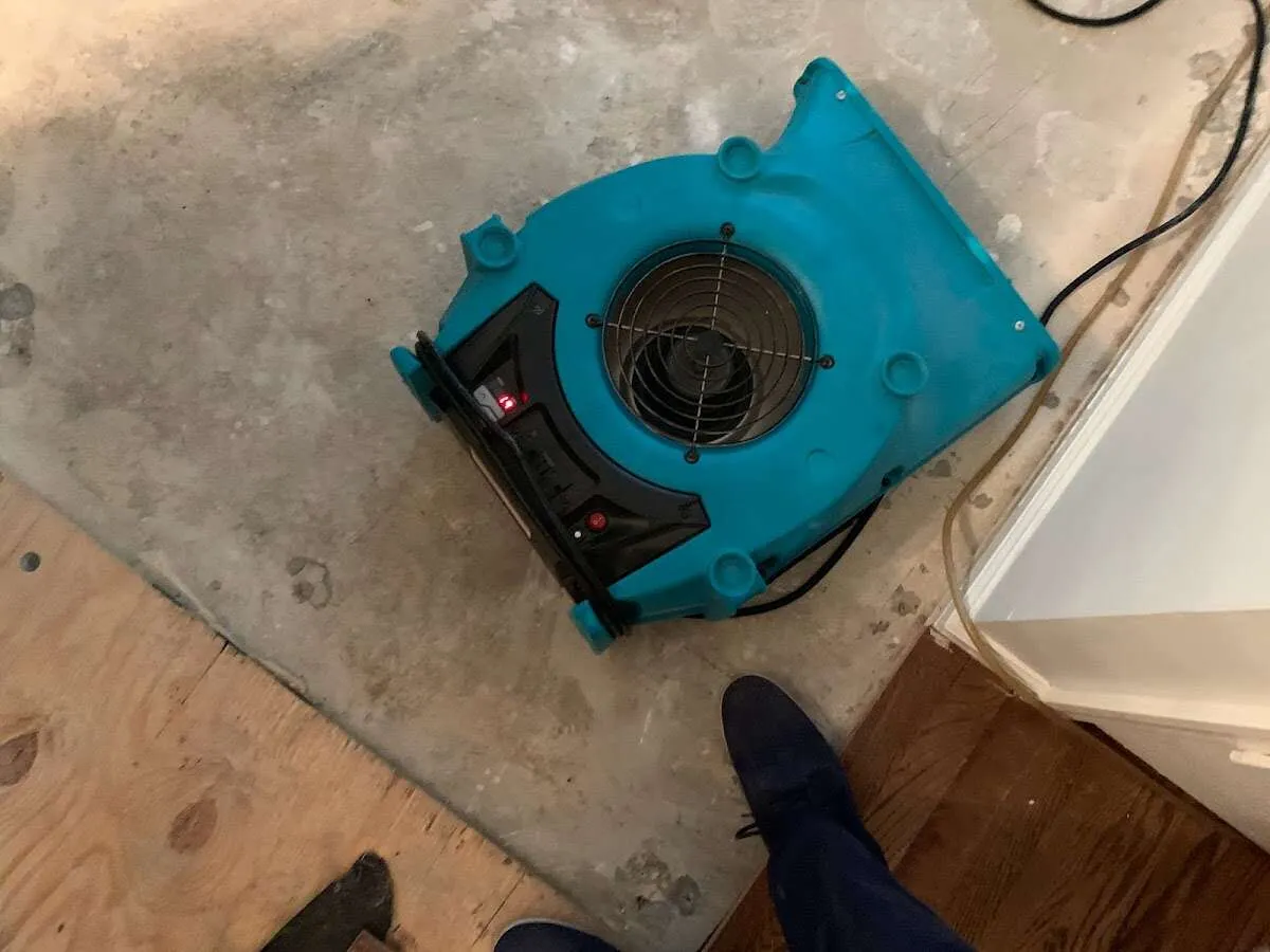 Air mover drying subfloor during Commercial Water Damage Restoration in Great Neck Plaza